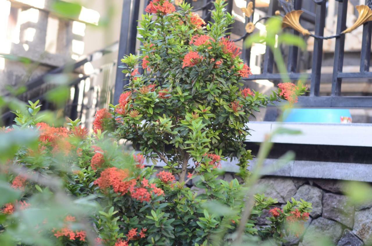 Amed Romance House Bagian luar foto